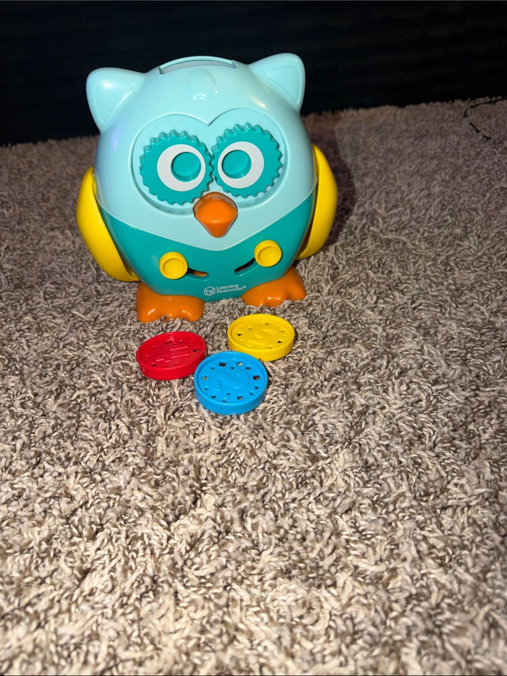 Teal & Yellow Owl Coin Toy